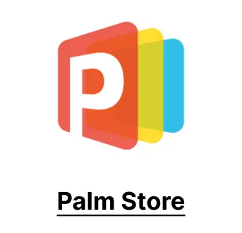 palm store